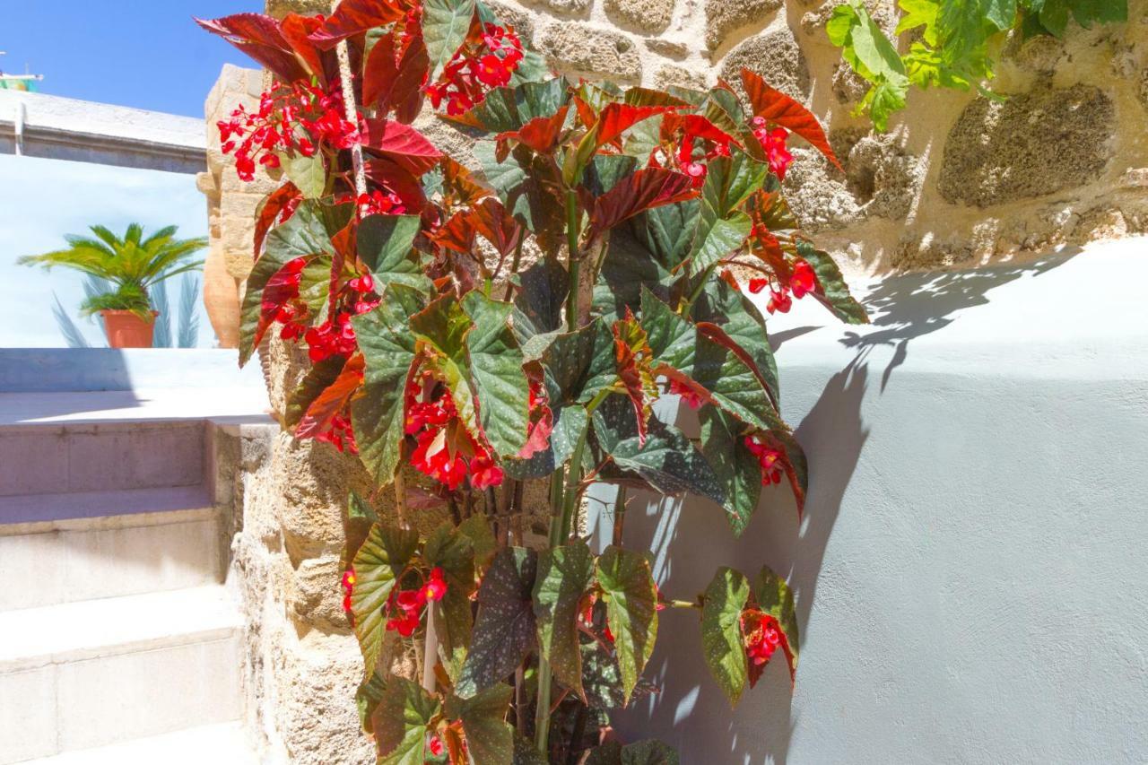 Colours - Old Town - Studios Rhodes City 外观 照片